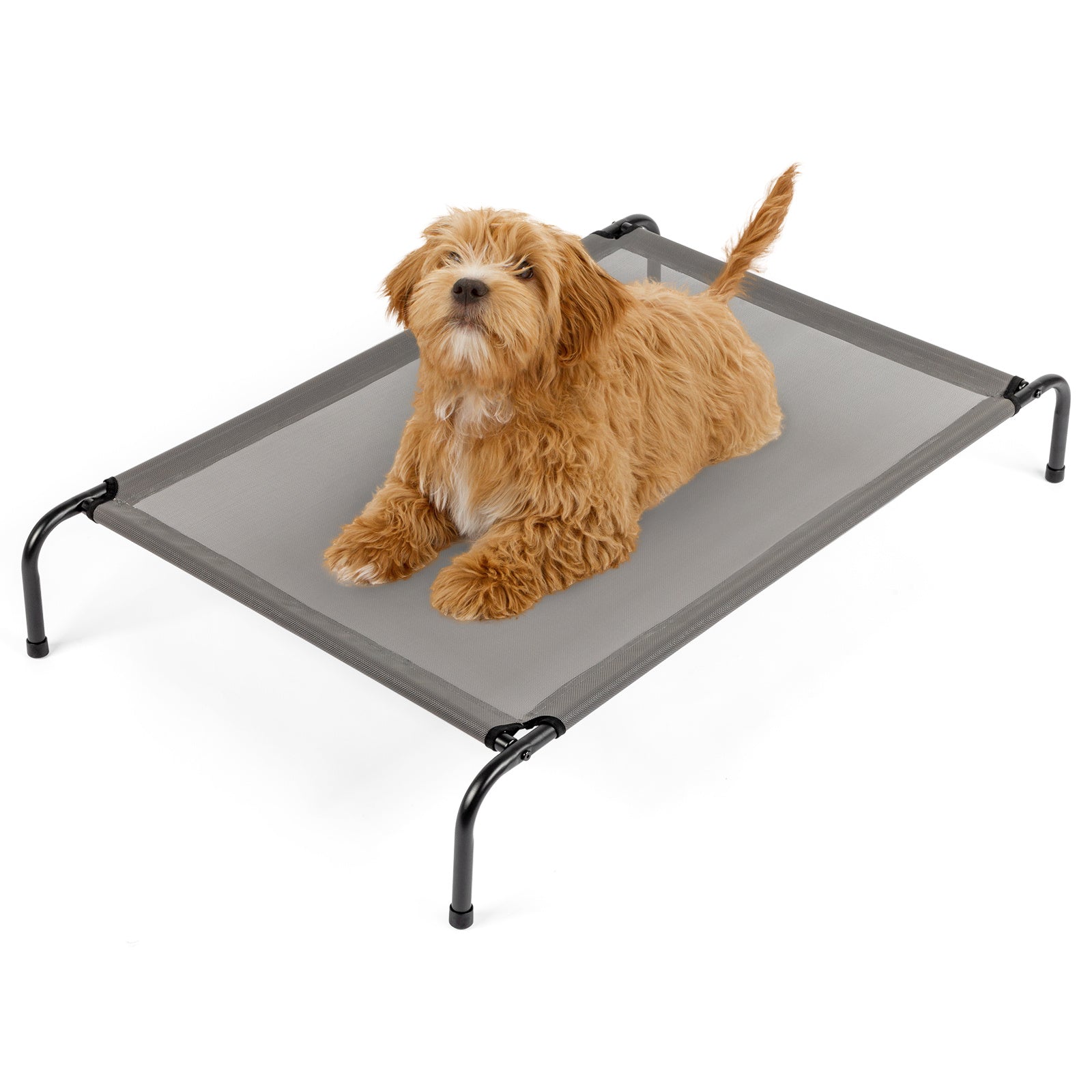 Elevated Dog Bed – Comfortable Pet Cot Raises Dogs 8” Off the Ground to Stay Cool, Dry & Clean Outdoors - Omniveras