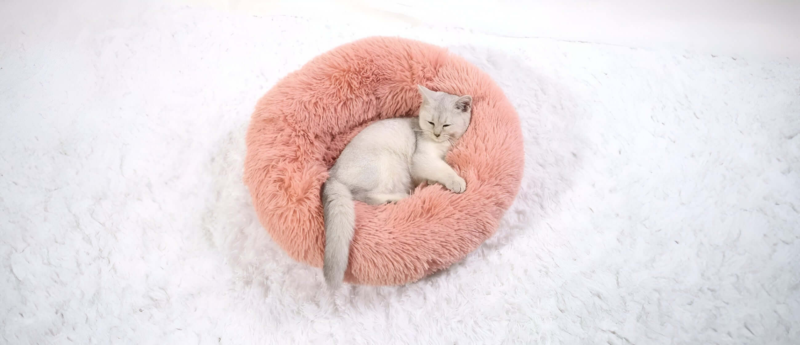 A cozy white cat relaxing in a fluffy pink pet bed on a soft white surface.