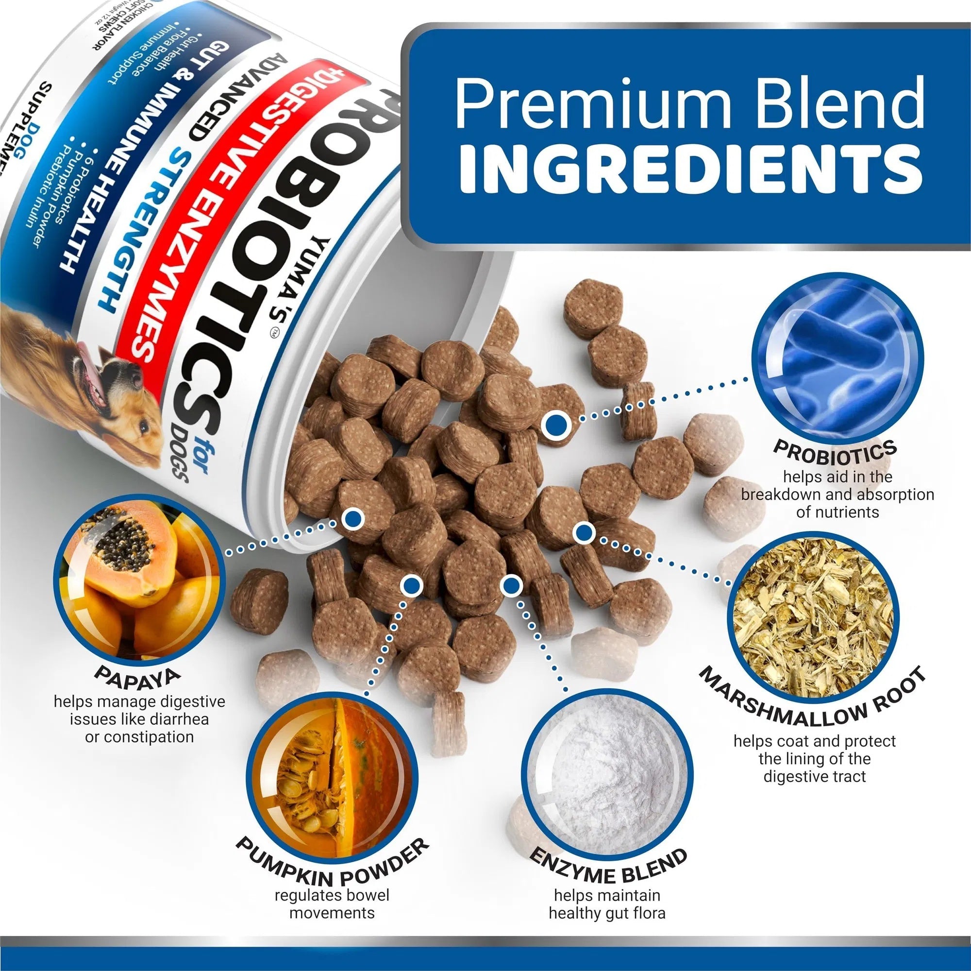 Do Not Sell On Amazon Probiotics For Dogs And Digestive Enzymes 170 Dog Probiotics Chews Pet Fiber Supplement Anti Diarrhea Upset Stomach & Gas Relief Constipation Canine Prebiotic - Omniveras