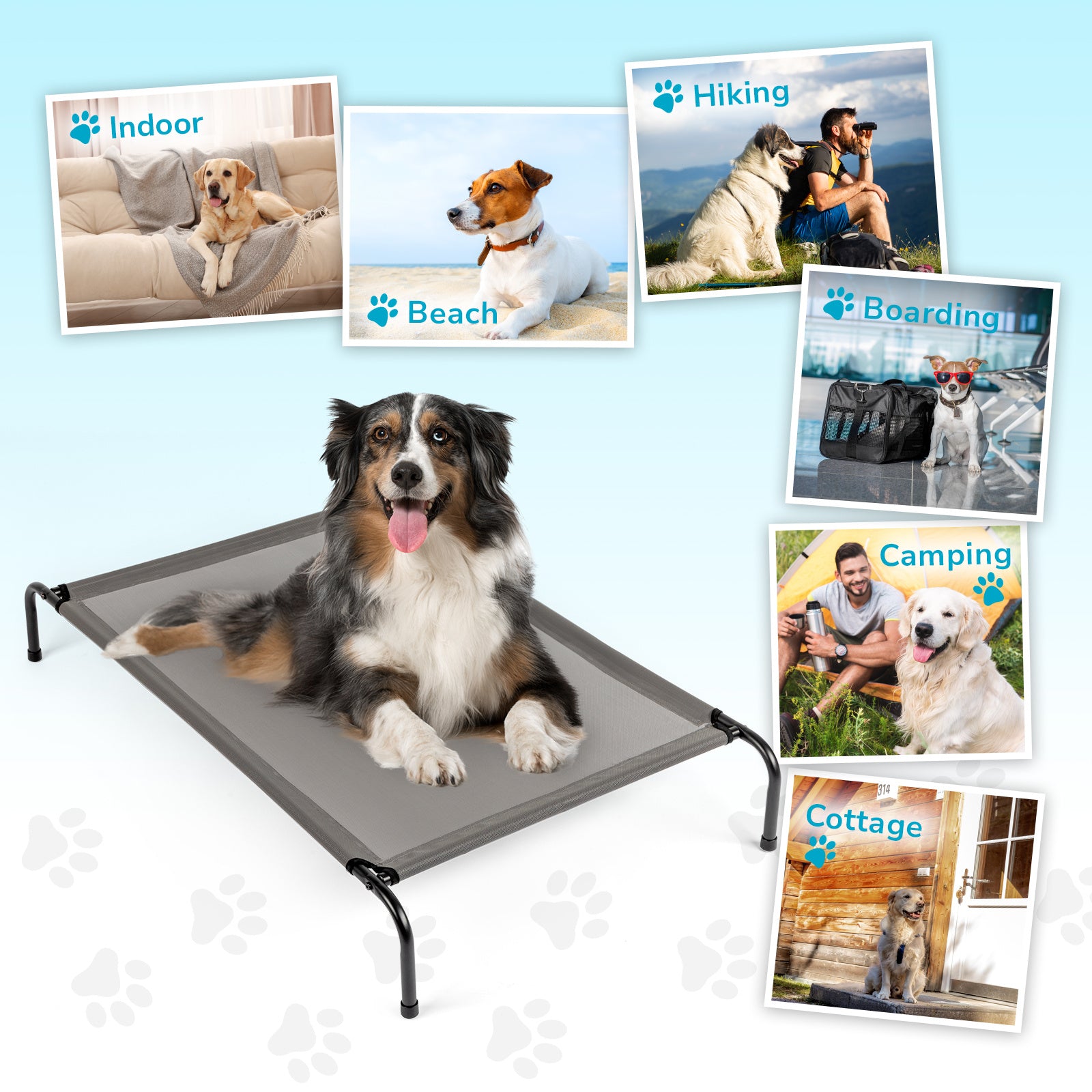 Elevated Dog Bed – Comfortable Pet Cot Raises Dogs 8” Off the Ground to Stay Cool, Dry & Clean Outdoors - Omniveras