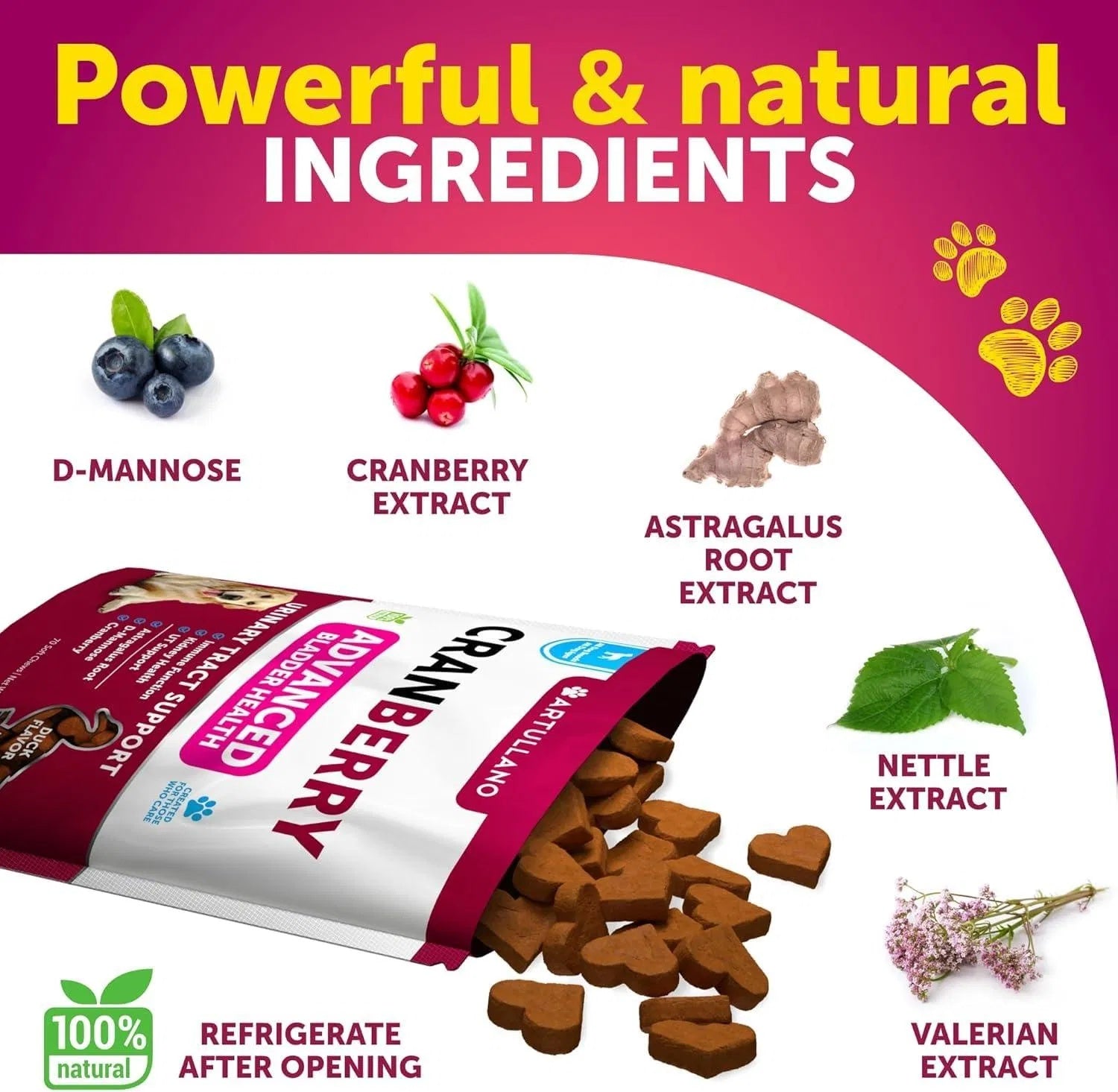 Do Not Sell On Amazon Dog UTI Treatment Cranberry Supplement Bladder Control Urinary Tract Infection Incontinence Pill Bladder Stones UTI Medicine Treats 70 Soft Chews For Kidney Support With Fish Oil - Omniveras