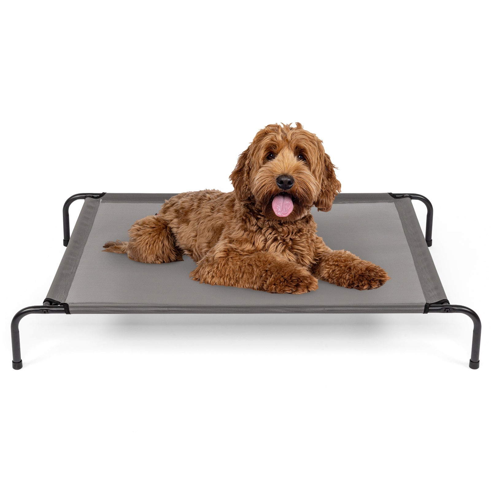 Elevated Dog Bed – Comfortable Pet Cot Raises Dogs 8” Off the Ground to Stay Cool, Dry & Clean Outdoors - Omniveras